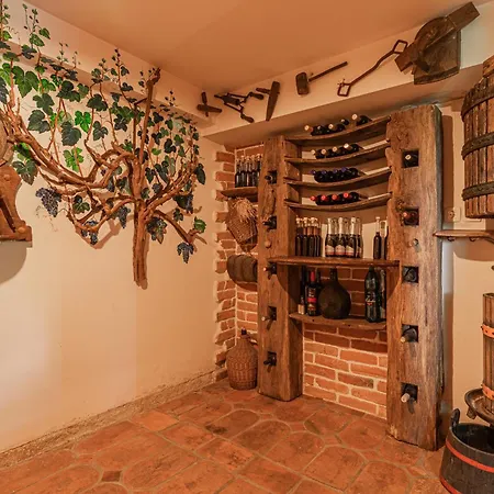 Vineyard Rataj 2 Novo Mesto