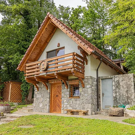 Vineyard Rataj 2 Novo Mesto
